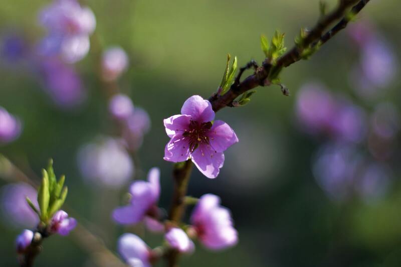 O destino inesperado